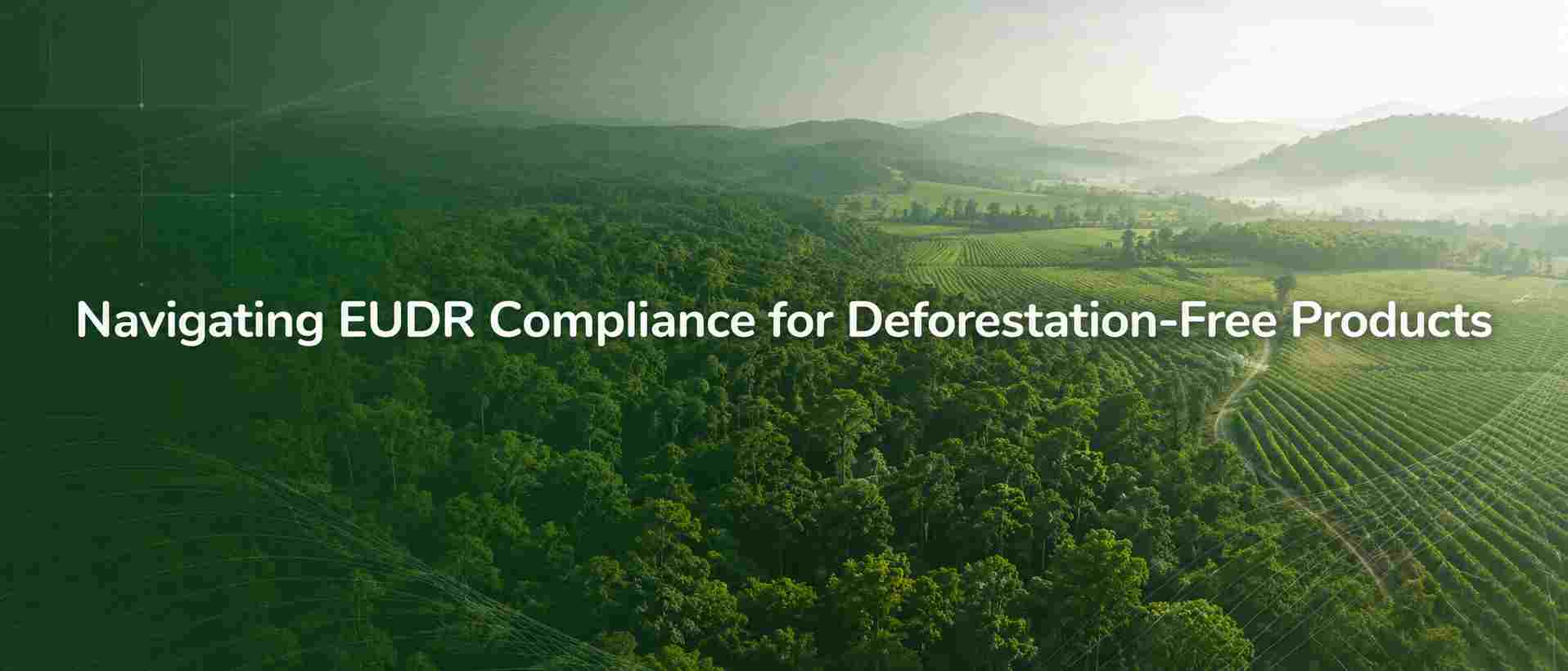 EUDR Compliance Guide 2026