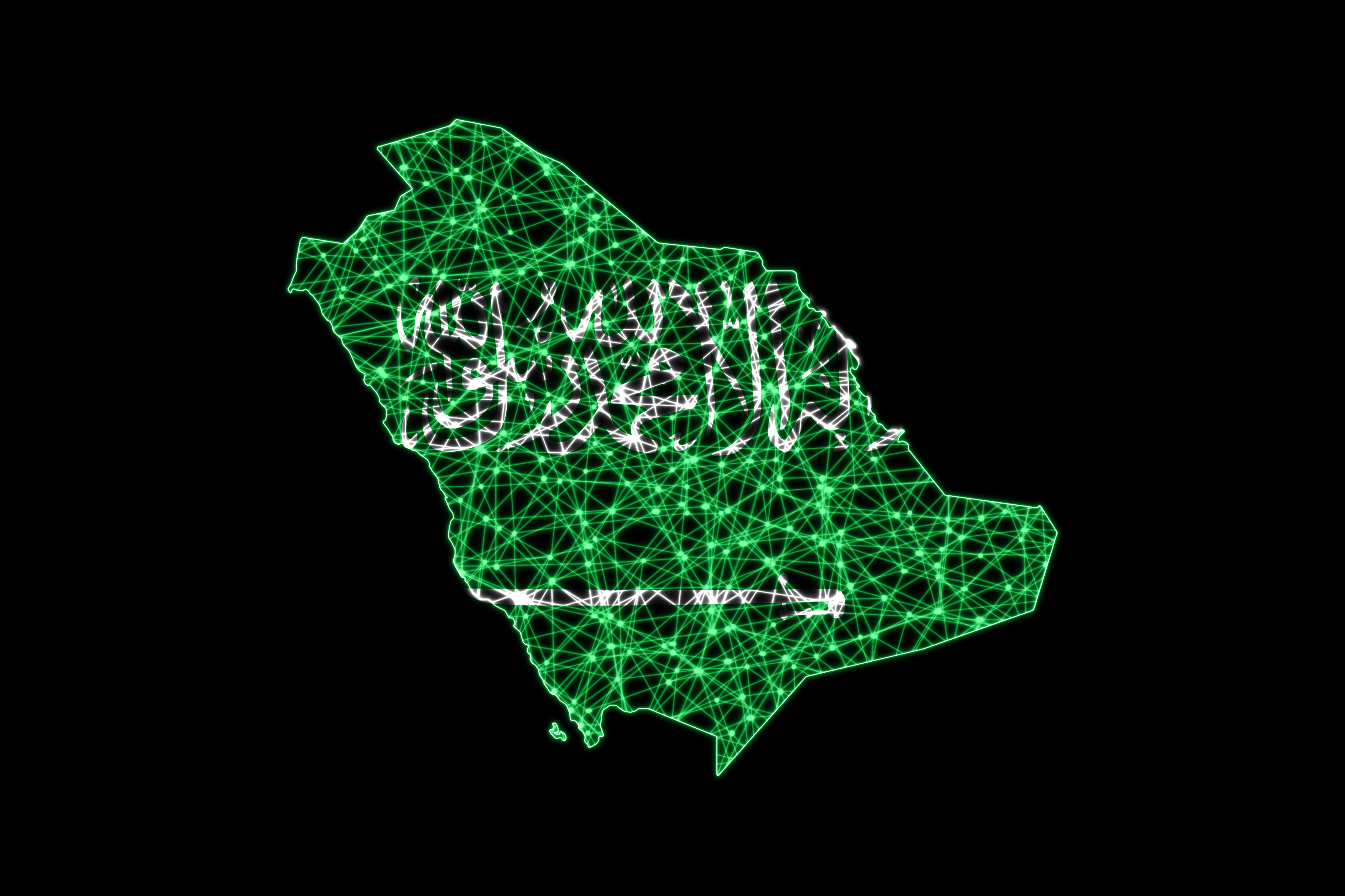 サソ RoHS サウジアラビア